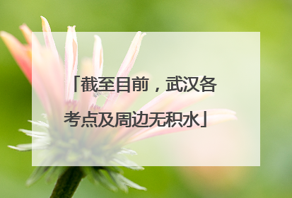 截至目前，武汉各考点及周边无积水