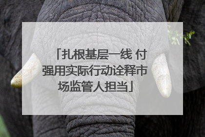 扎根基层一线 付强用实际行动诠释市场监管人担当