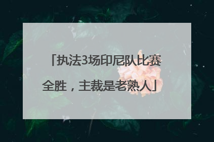 执法3场印尼队比赛全胜，主裁是老熟人