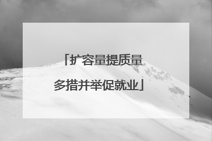 扩容量提质量 多措并举促就业