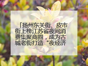扬州东关街、皮市街上榜江苏省夜间消费集聚商圈，成为古城老街打造“夜经济”的样本