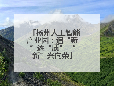 扬州人工智能产业园：追“新”逐“质” “新”兴向荣