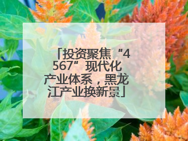 投资聚焦“4567”现代化产业体系，黑龙江产业换新景