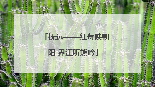 抚远——红莓映朝阳 界江听熊吟