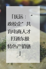 抚远：“政校企”共育电商人才 打通东极特色产销链