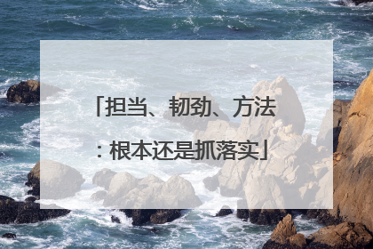 担当、韧劲、方法：根本还是抓落实