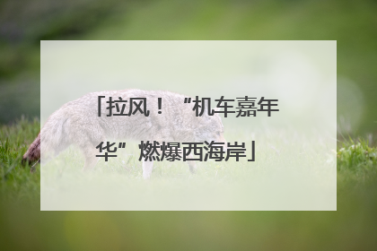 拉风！“机车嘉年华”燃爆西海岸