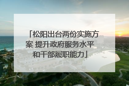 松阳出台两份实施方案 提升政府服务水平和干部履职能力