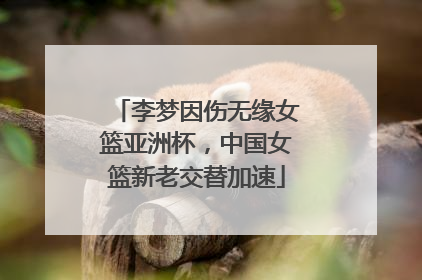 李梦因伤无缘女篮亚洲杯，中国女篮新老交替加速