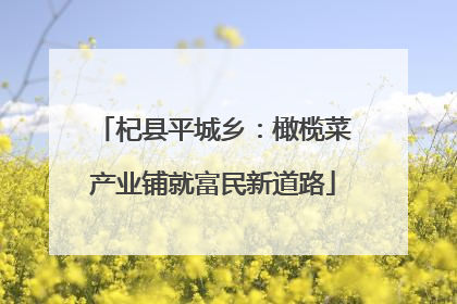 杞县平城乡：橄榄菜产业铺就富民新道路