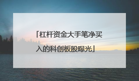 杠杆资金大手笔净买入的科创板股曝光