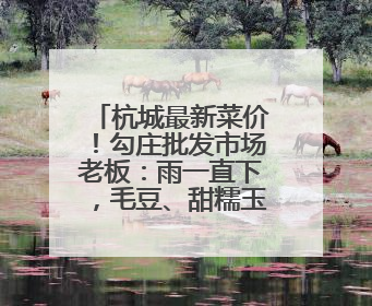 杭城最新菜价！勾庄批发市场老板：雨一直下，毛豆、甜糯玉米、生菜却更实惠