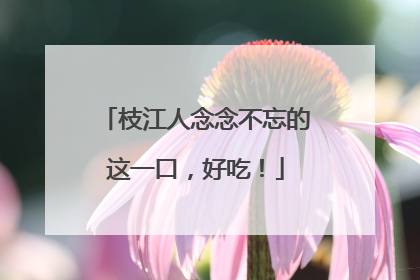 枝江人念念不忘的这一口，好吃！