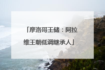摩洛哥王储：阿拉维王朝低调继承人