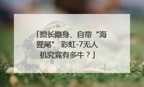 擅长隐身、自带“海狸尾” 彩虹-7无人机究竟有多牛？