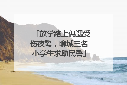 放学路上偶遇受伤夜鹭，聊城三名小学生求助民警