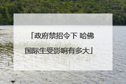 政府禁招令下 哈佛国际生受影响有多大