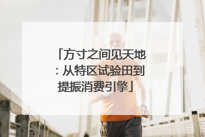 方寸之间见天地：从特区试验田到提振消费引擎