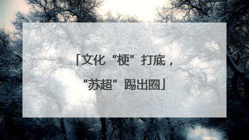 文化“梗”打底，“苏超”踢出圈