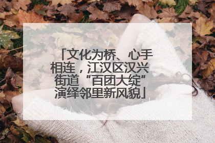 文化为桥、心手相连，江汉区汉兴街道“百团大绽”演绎邻里新风貌