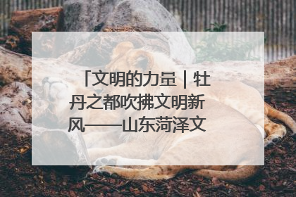 文明的力量｜牡丹之都吹拂文明新风——山东菏泽文明创建一线见闻