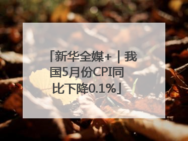 新华全媒+｜我国5月份CPI同比下降0.1%