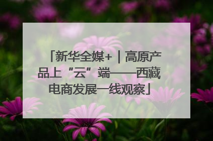 新华全媒+｜高原产品上“云”端——西藏电商发展一线观察