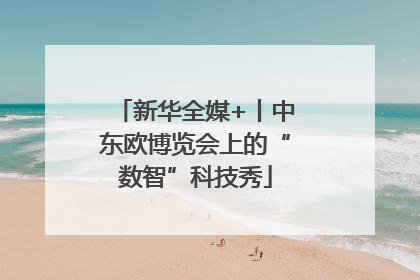 新华全媒+丨中东欧博览会上的“数智”科技秀
