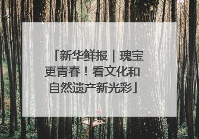 新华鲜报｜瑰宝更青春！看文化和自然遗产新光彩