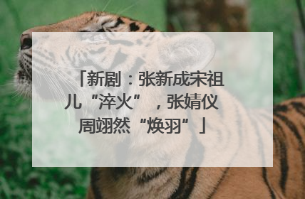 新剧：张新成宋祖儿“淬火”，张婧仪周翊然“焕羽”