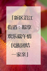 新区沿江街道：粽享欢乐端午情 民族团结一家亲