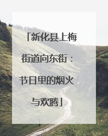 新化县上梅街道向东街：节日里的烟火与欢腾