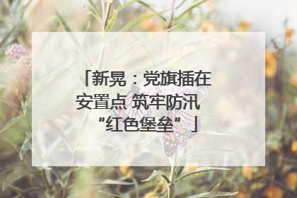 新晃：党旗插在安置点 筑牢防汛“红色堡垒”