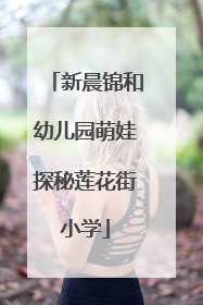 新晨锦和幼儿园萌娃探秘莲花街小学