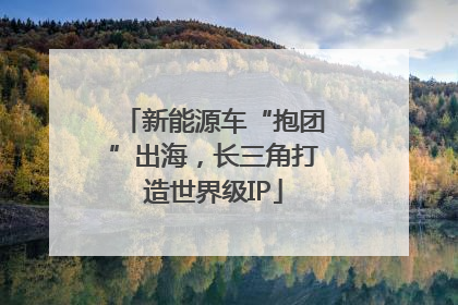 新能源车“抱团”出海，长三角打造世界级IP