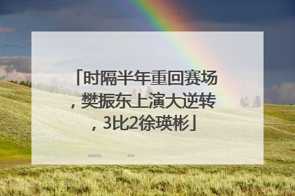 时隔半年重回赛场，樊振东上演大逆转，3比2徐瑛彬