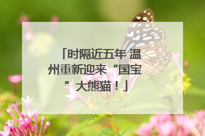 时隔近五年 温州重新迎来“国宝”大熊猫！