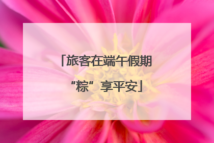 旅客在端午假期“粽”享平安