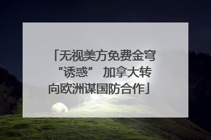 无视美方免费金穹“诱惑” 加拿大转向欧洲谋国防合作