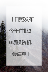 日照发布今年首批30项投资机会清单