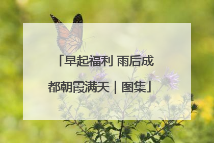 早起福利 雨后成都朝霞满天｜图集