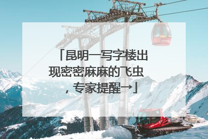 昆明一写字楼出现密密麻麻的飞虫，专家提醒→
