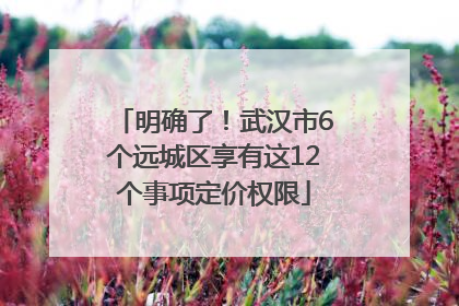 明确了！武汉市6个远城区享有这12个事项定价权限