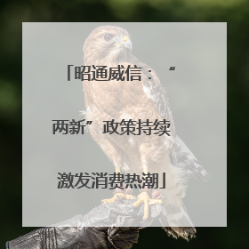 昭通威信：“两新”政策持续激发消费热潮