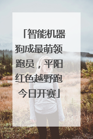 智能机器狗成最萌领跑员，平阳红色越野跑今日开赛