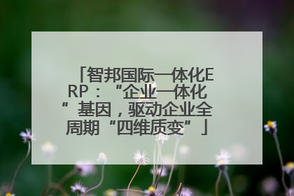 智邦国际一体化ERP：“企业一体化”基因，驱动企业全周期“四维质变”