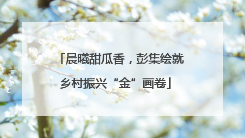 晨曦甜瓜香，彭集绘就乡村振兴“金”画卷