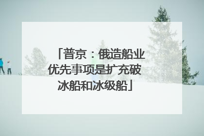普京：俄造船业优先事项是扩充破冰船和冰级船