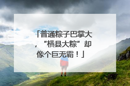 普通粽子巴掌大，“横县大粽”却像个巨无霸！