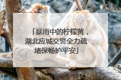 暴雨中的柠檬黄，湖北应城交警全力疏堵保畅护平安